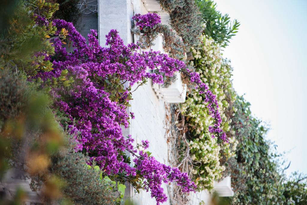 Holiday Lodge al Porto Mattinata Exterior foto
